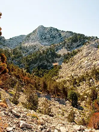 Der Zubački kabao vom Pavlovca do