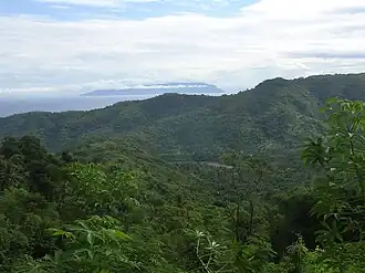 Regenzeit. In Lauhata regeneriert sich der Sekundärwald, der hier Ackerflächen verdrängt. Im Hintergrund sieht man die Insel Atauro.