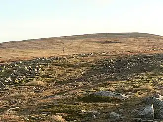 Blick von Norden zum Gipfelplateau des Cairn of Claise