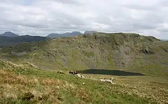 Middle Fell vom Seatallan aus gesehen mit dem Greendale Tarn im Vordergrund