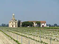 Weinbau und Kapelle in Gallician