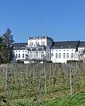 Die Villa Graeger oberhalb des Weinbergs des Weinguts der Stadt Frankfurt am Main