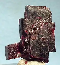 Villiaumit, Chibinen