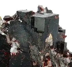 Villiaumit, Chibinen