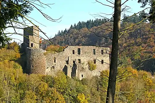 Ruine Virneburg von Südwesten