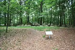 Großsteingrab Visbeker Bräutigam 1