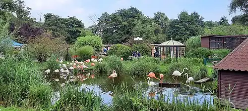 Flamingos am Eingang des Parks, September 2021