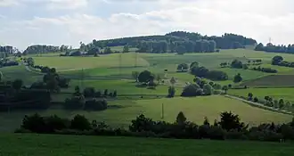 Vogelsberg von Osten