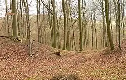 Südöstliches Zangentor des äußeren Walls