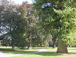 Im ehemaligen Schlosspark