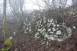 NO Mauerreste der vorderen Erlinsburg