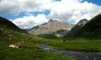 Blick vom Krummgampental auf die Vordere Ölgrubenspitze