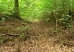 Hohlweg nahe der Wüstung