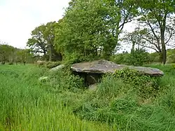 Allée couverte von Loc’h ar Pont