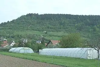 Ortslage Falken, Blick auf den Südhang
