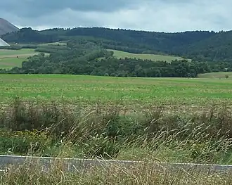 Der Lerchenberg (im Hintergrund Hornungskuppe und die Kalihalde)