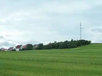Der Weinberg mit Antennenmast