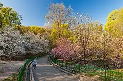 Botanischer Garten „A. W. Fomin“