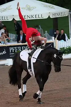 CHIO-Disziplin Voltigieren, 2013