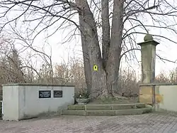 Erinnerung an zwei Kriege, Gewalt und Tyrannei