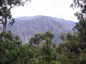 Im Wadbilliga-Nationalpark