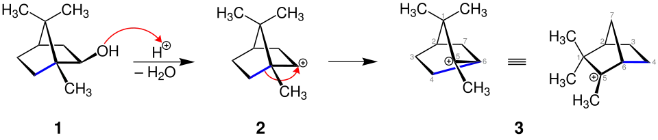 Mechanismus der Dehydratisierung von Isoborneol (Teil 1)