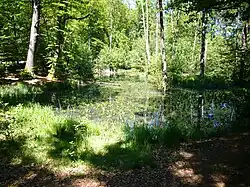 Blick über die Wagnersgrube in Richtung Osten