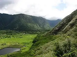 Blick auf das innere Waipiʻo Valley.