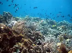 Nationalpark Wakatobi
