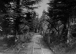 Waldbahn zu den Stellungen