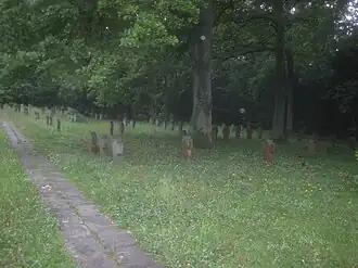 Blick auf ein Gräberfeld