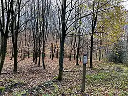 Waldlehrpfad Ehrenberg