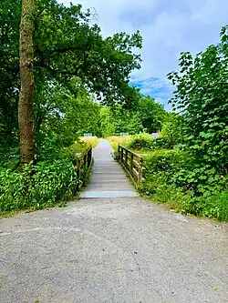 Waldweg an der Sechs Seen Platte