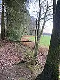 Wallrain am Wanderweg A2 (nördl. Frohnhausen)