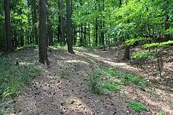 Parallel verlaufende Wall-Graben-Reste im Gipfelbereich des Külmitz