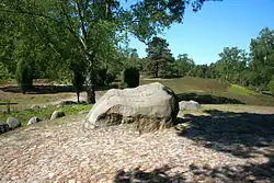 Löns-Grab (Mai 2009)