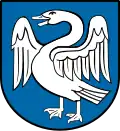 Schwan in Angriffslaune (Deuchelried)