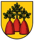 Wappen von Heinzenberg