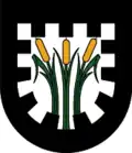 Wappen von Pinswang