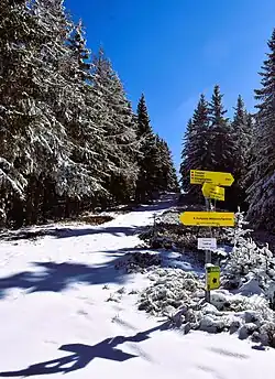 Wegkreuz am Wapplersattel, Blickrichtung Roßeck
