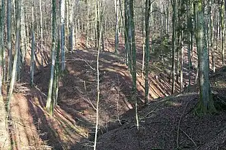 Burgstall von Süden. 2020