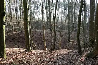 Burgstall von Westen. 2020