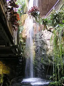 Wasserfall im ehemaligen Regenwaldhaus Hannover