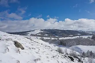 Blick auf die Wasserkuppe vom Weiherberg