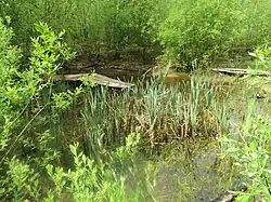 Stillgewässer auf der Grubensohle