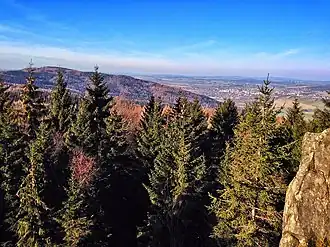 Blick von der Lausche zum Weberberg, rechts im Hintergrund Warnsdorf