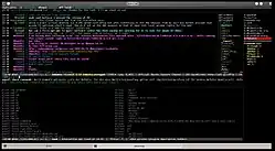 Bildschirmfoto von WeeChat (mit installierten Skripten und Erweiterungen)