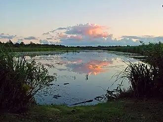 Wasser und Land prägen die „Weerribben“