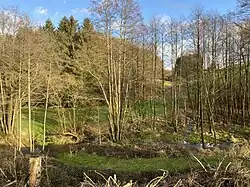 Wefelpütter Siefen mündet in den Marscheider Bach