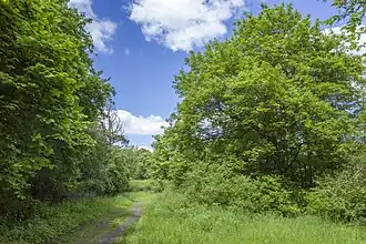 Muckenbaum, zwischen Kaltem Wasser und Wehranlagen